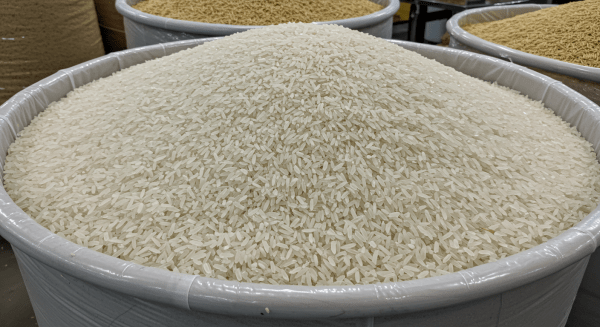 Rice